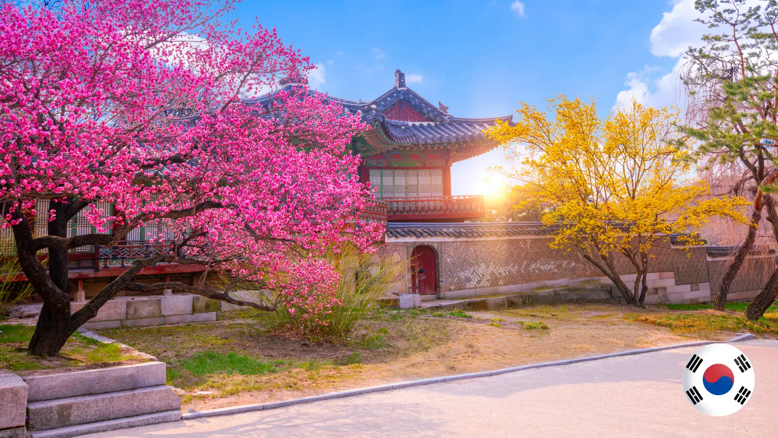 Traditional hanok pavilion with cherry blossoms in Seoul